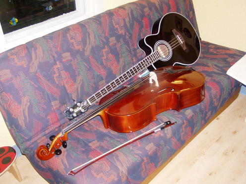 cello_bass.jpg