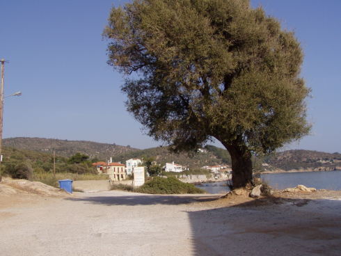 Agios Barbarana